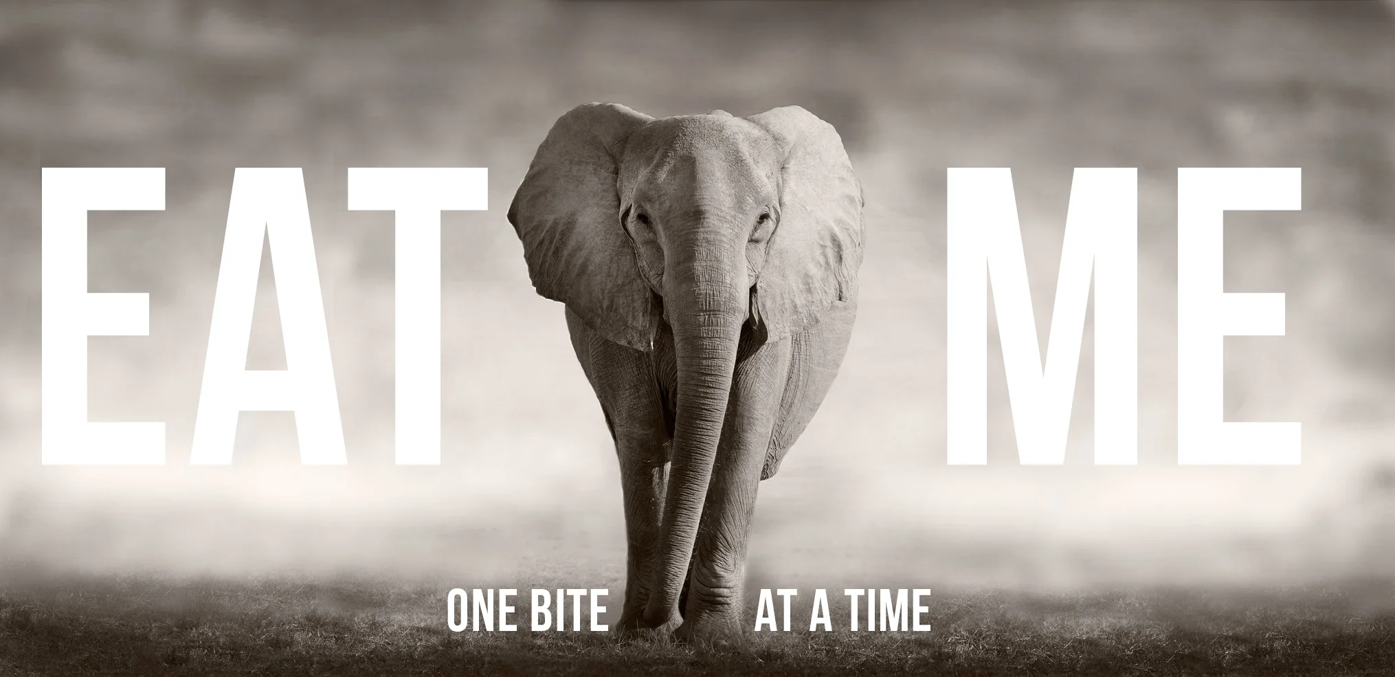 Action &amp; Habit: Eat an Elephant and Brush Your Teeth