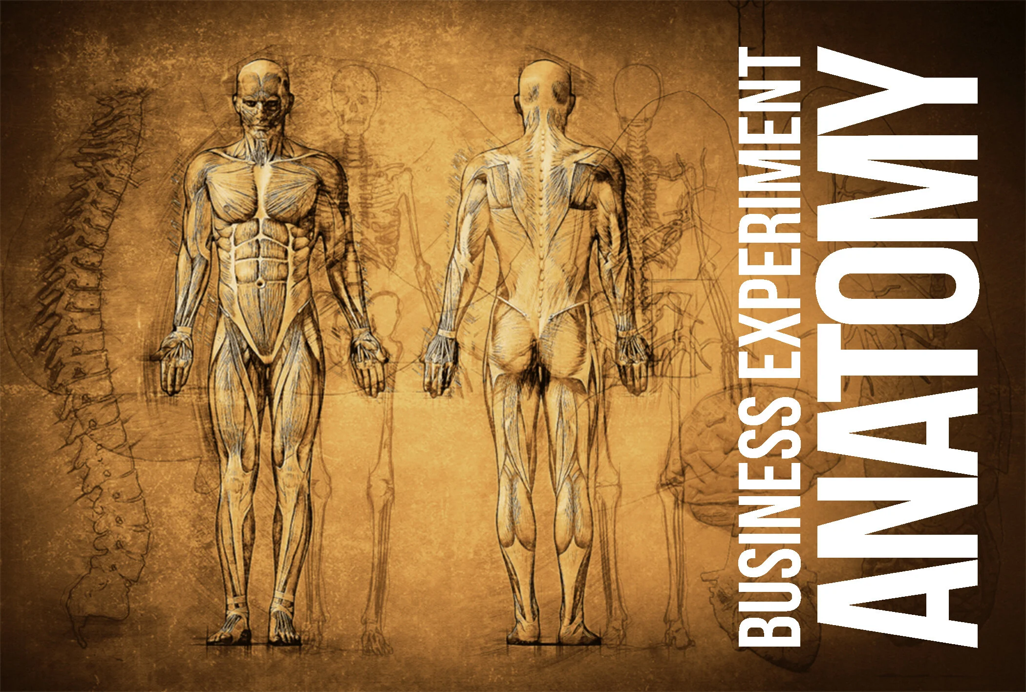 The 5 Part Anatomy of a Business Experiment