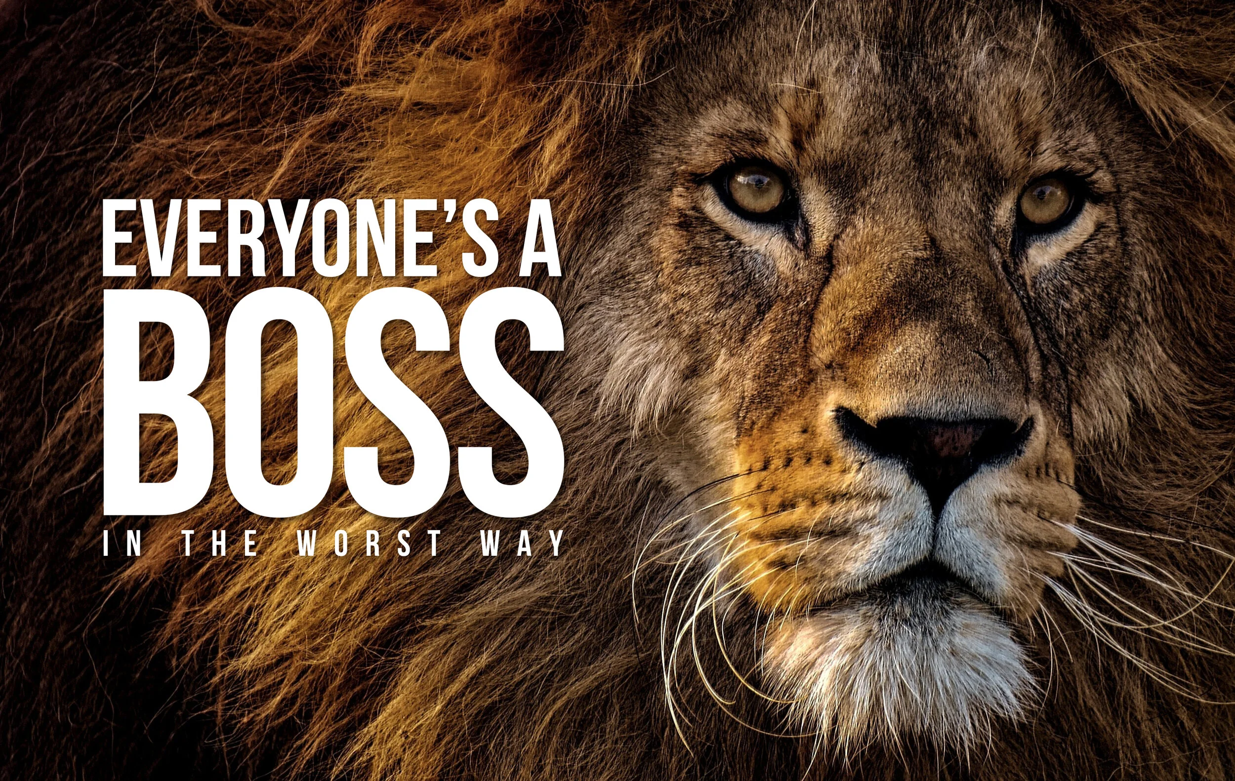 Everyone's a Boss (in the worst way)