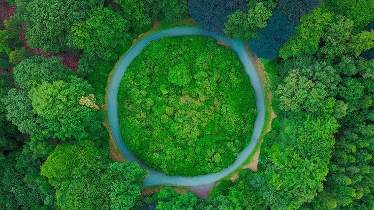 The 5 Steps Every Growth Cycle Needs (FS332)