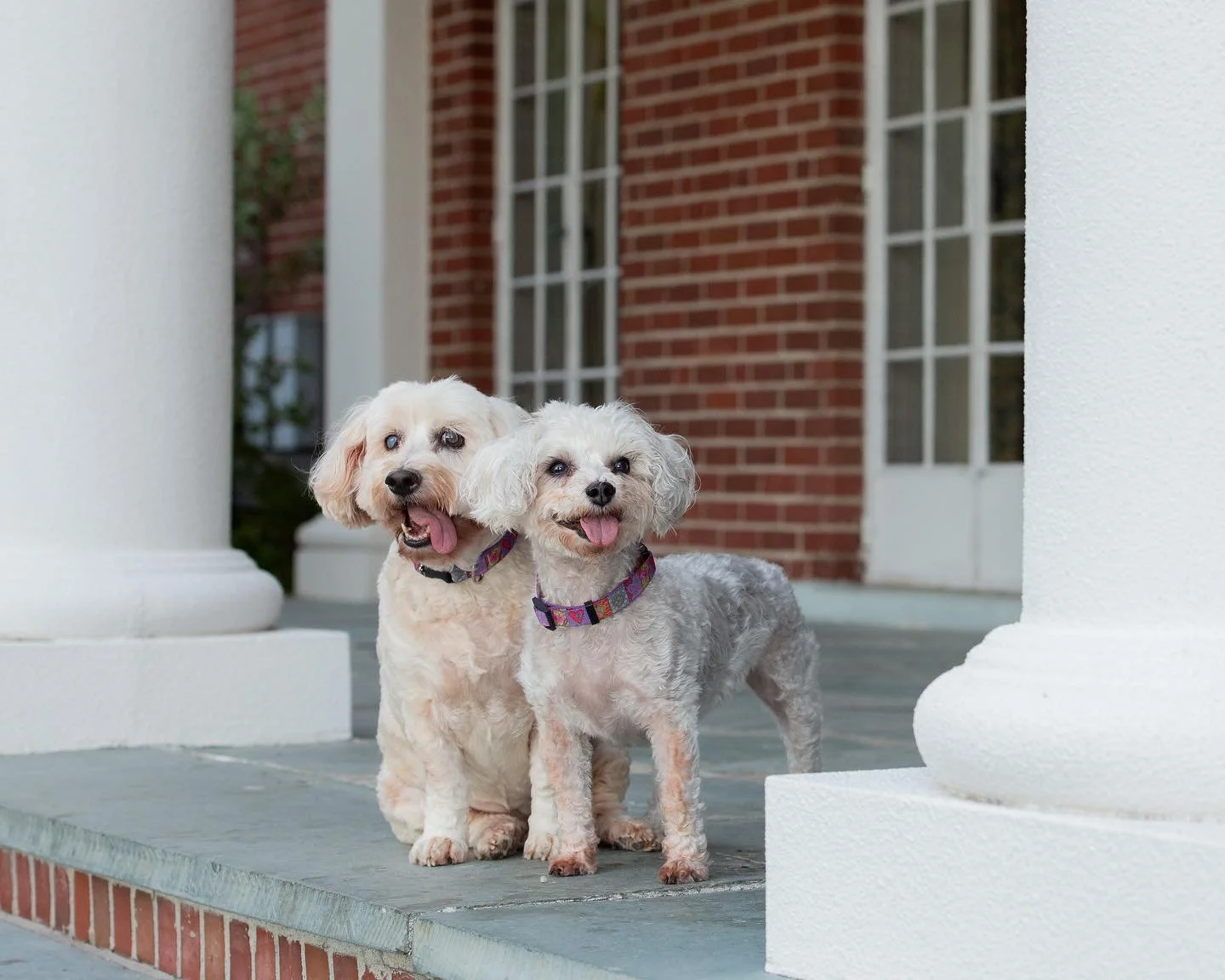 Candy.Molly.Ziegler.Bay Preserve.jpg