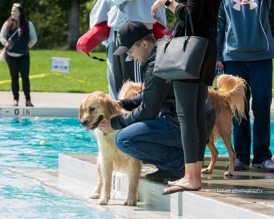 Paws-A-Pool-Ooza-29.jpg