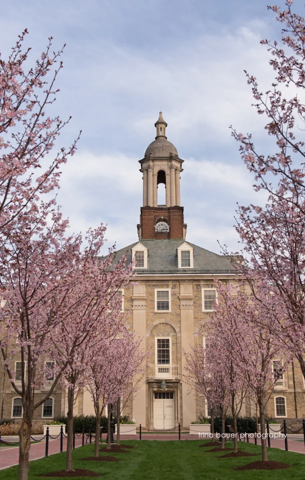 Old Main spring trees.jpg