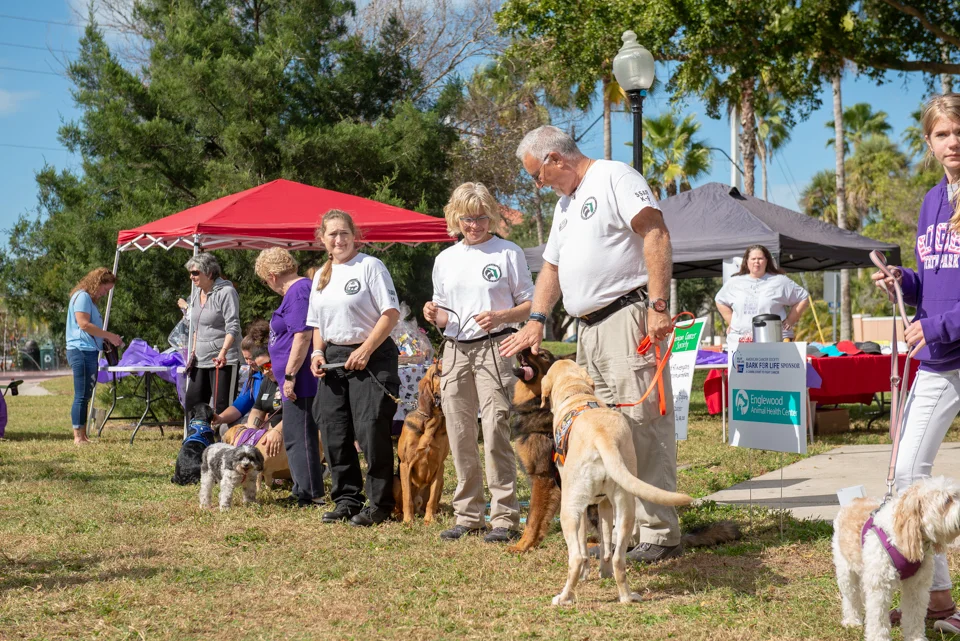 Bark for Life-10.jpg