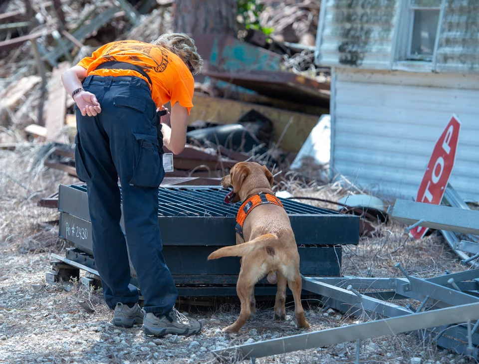 k9 search and rescue seminars