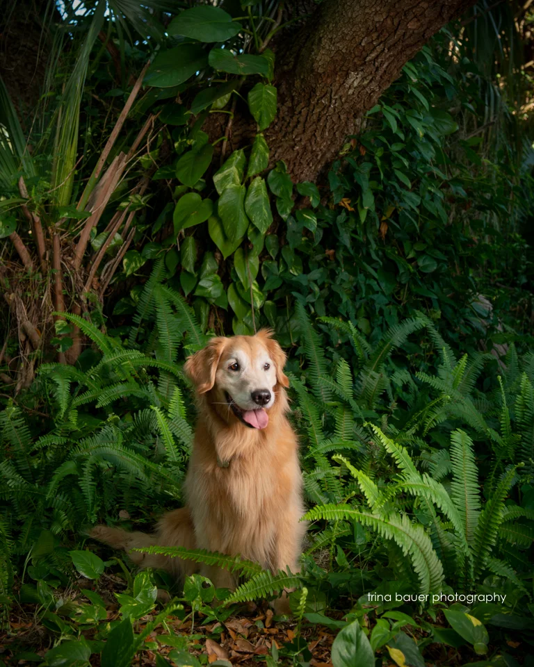 What I learned at the Veterinarian this week