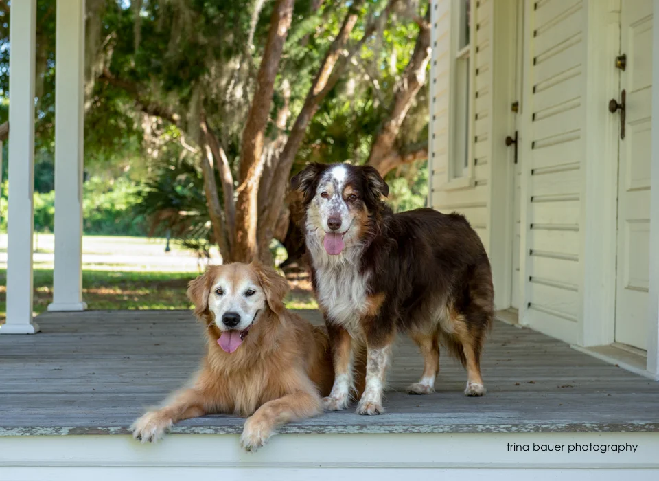 What I'm currently reading