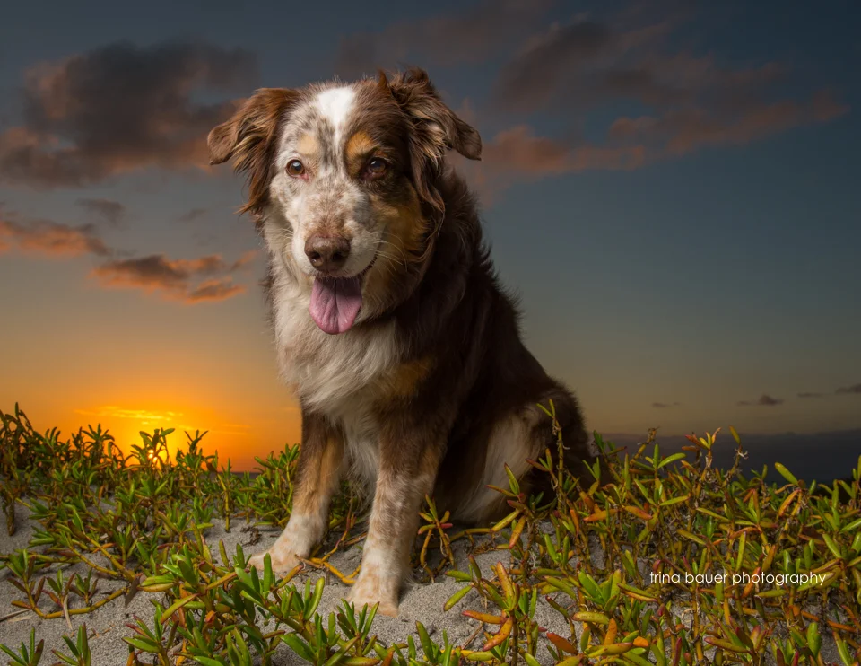 Whose home is it really? 