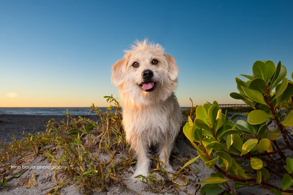 To titer or not to titer