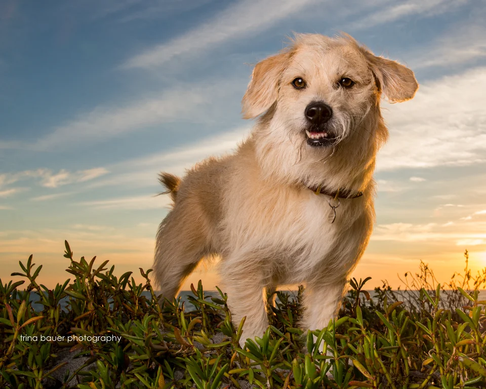 The Moment it all Clicked