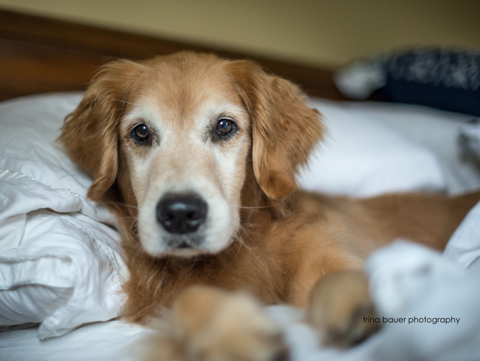 The best nurses a girl can ask for!