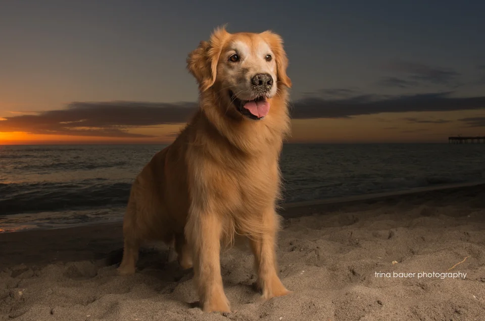 Update: Life in Florida