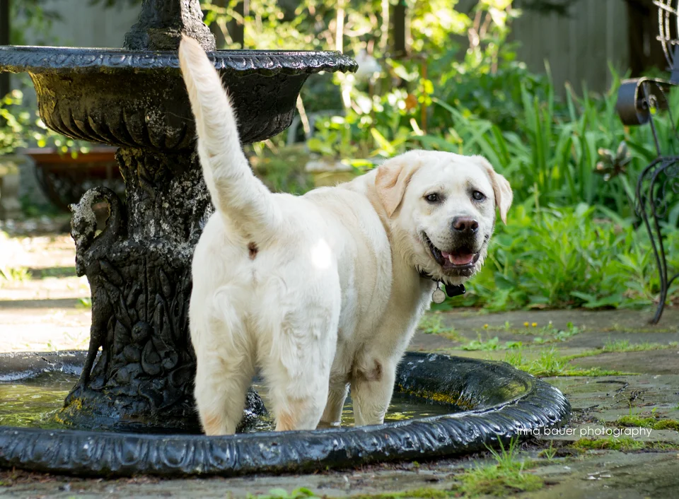 What happens when you're stuck