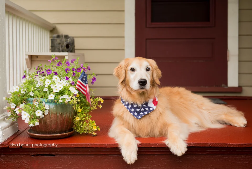 Tips for a safe 4th of July