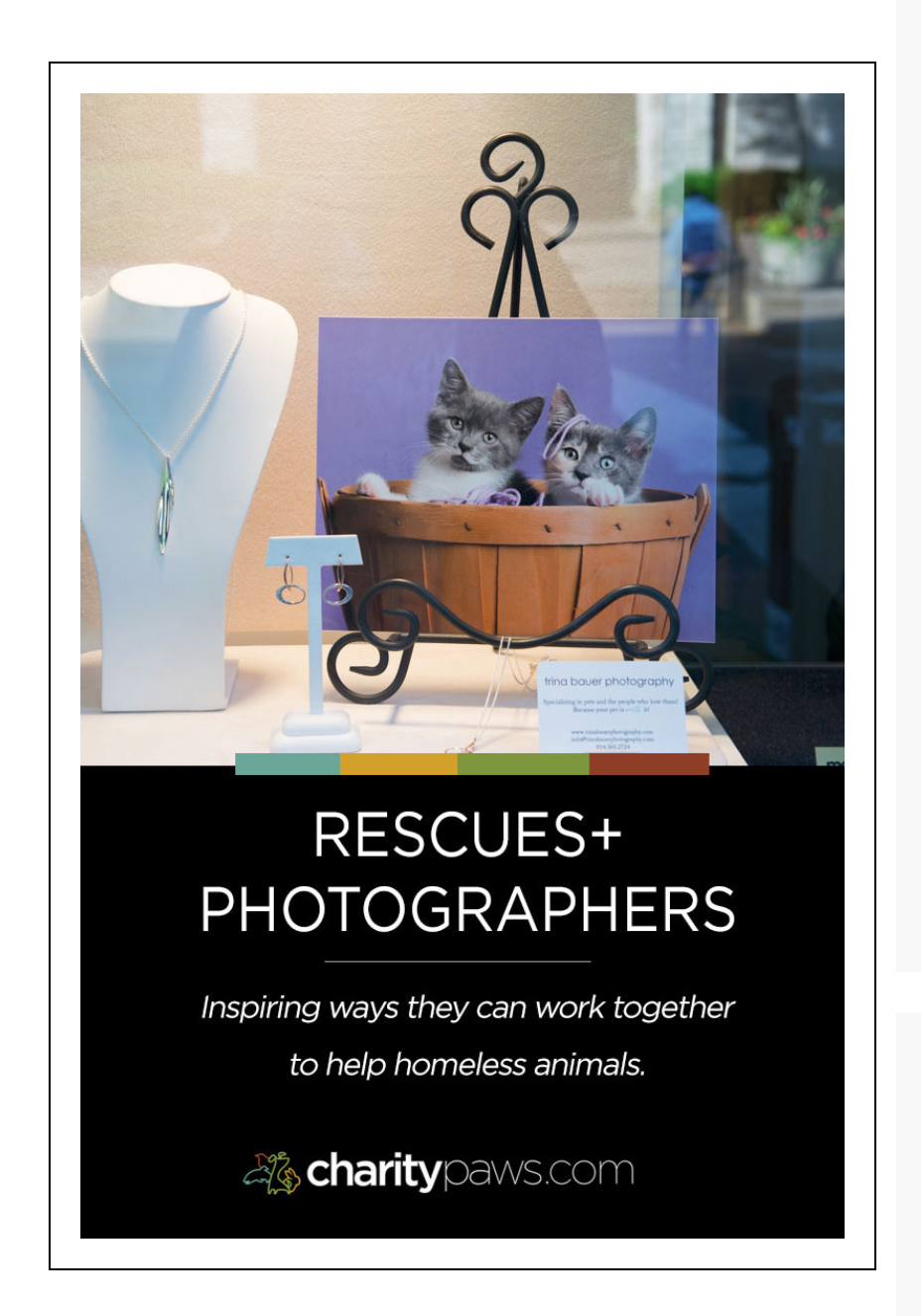 Charity Paws feature