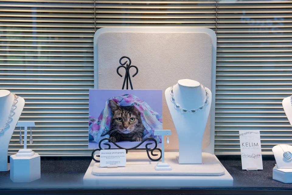 Moyer Jeweler Display