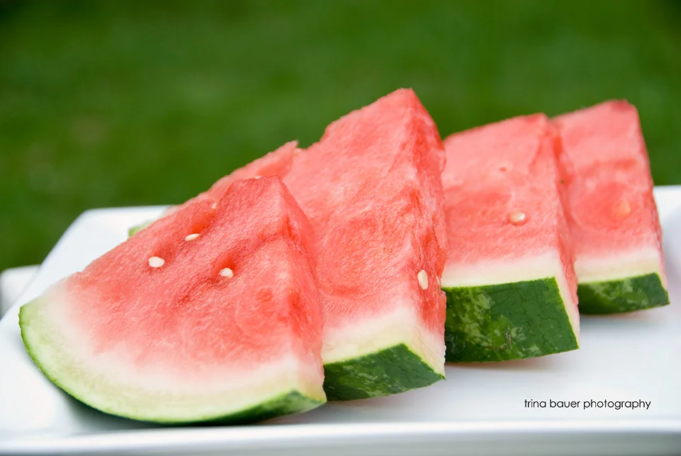 Healthy snacks for your dog