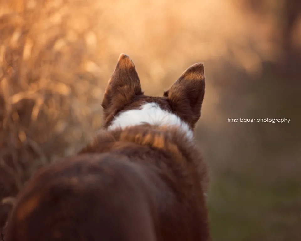 1st quarter goals check-in