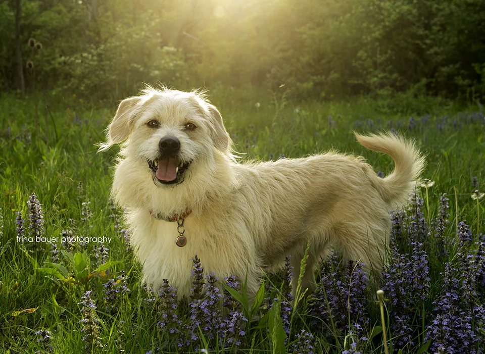 Spring has sprung! 