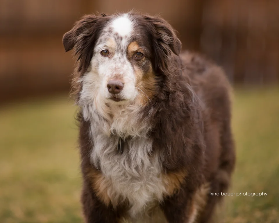 What's in your will? 