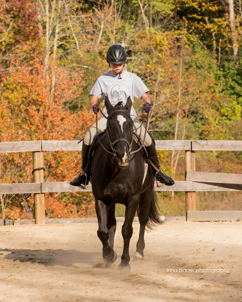 Endeavor Third Annual Horse Show