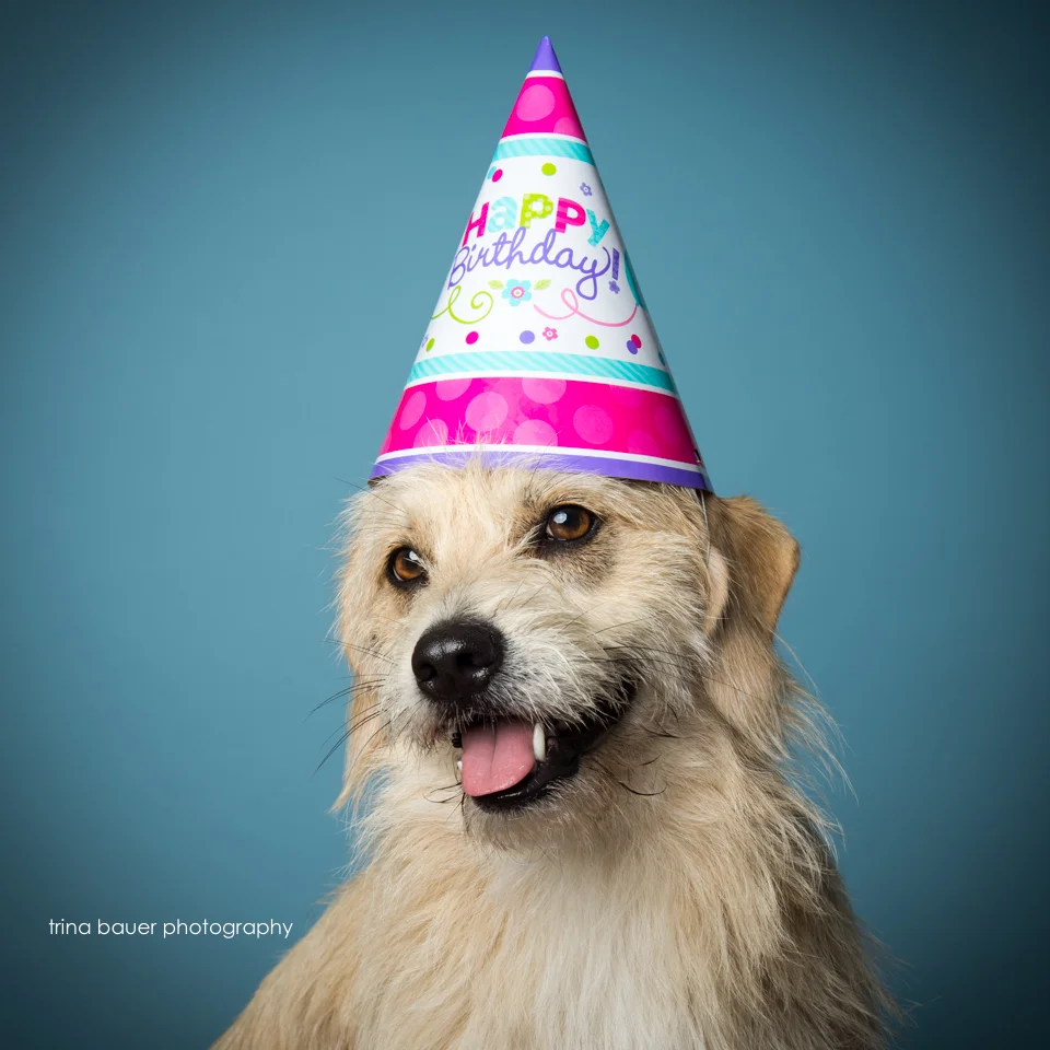 Happy 3rd Kita!!!