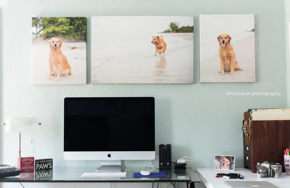 I'm not a creative type - or am I?