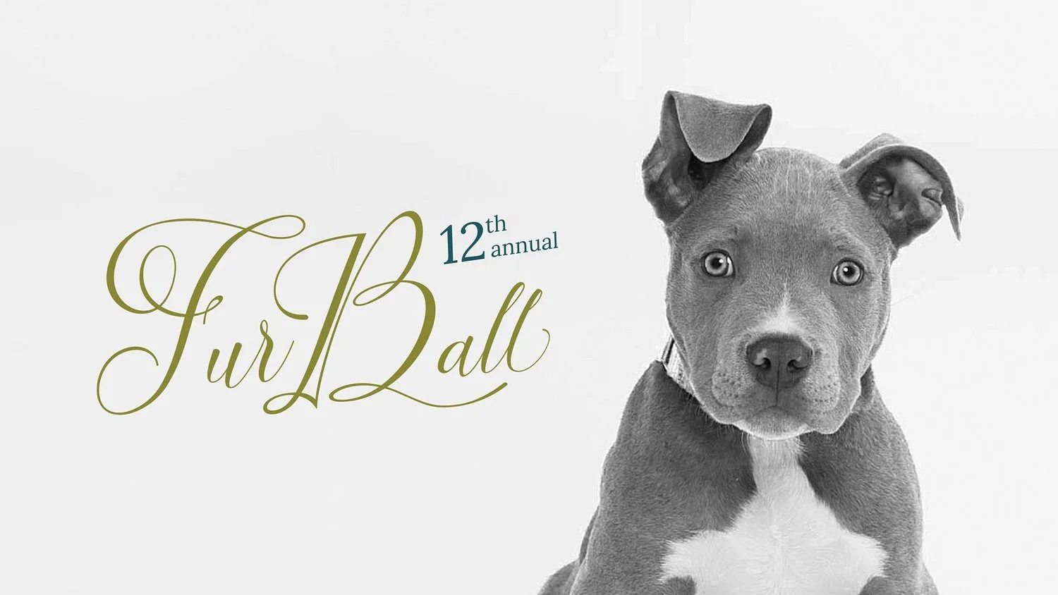 Centre County PAWS 12th Annual Fur Ball 