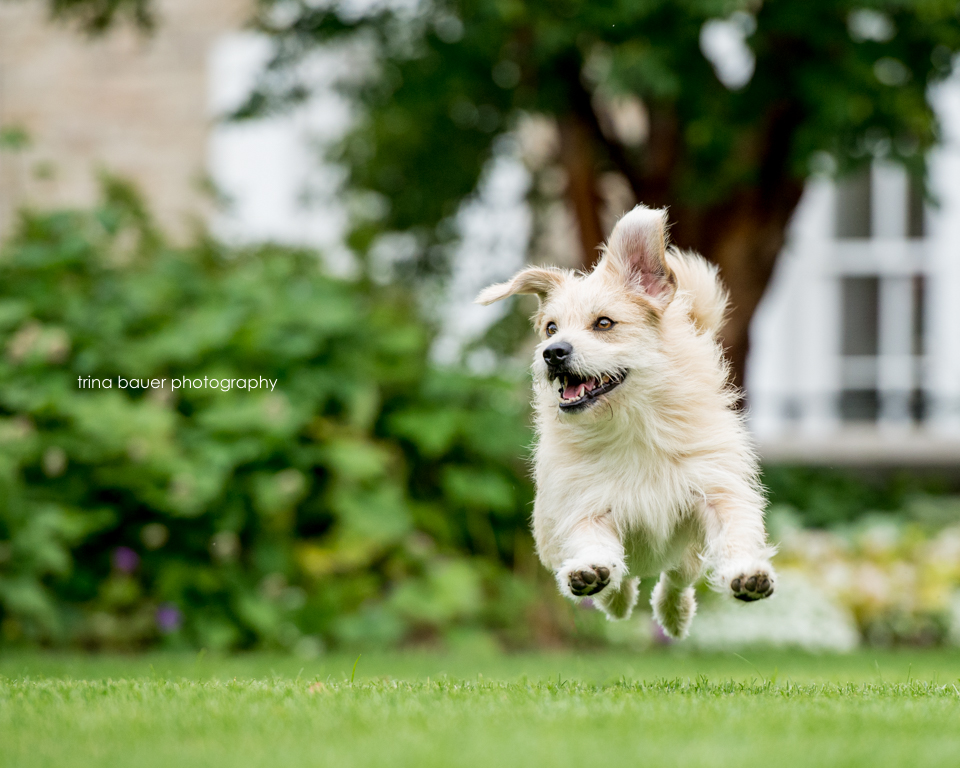 Unofficial end of summer