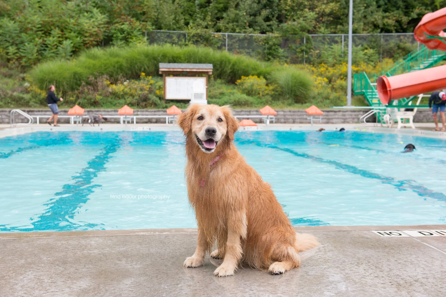 If I won the lottery