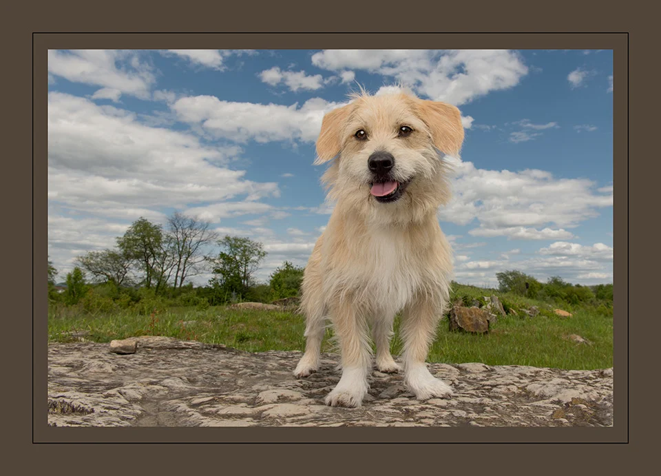 Why I Entered Print Competition