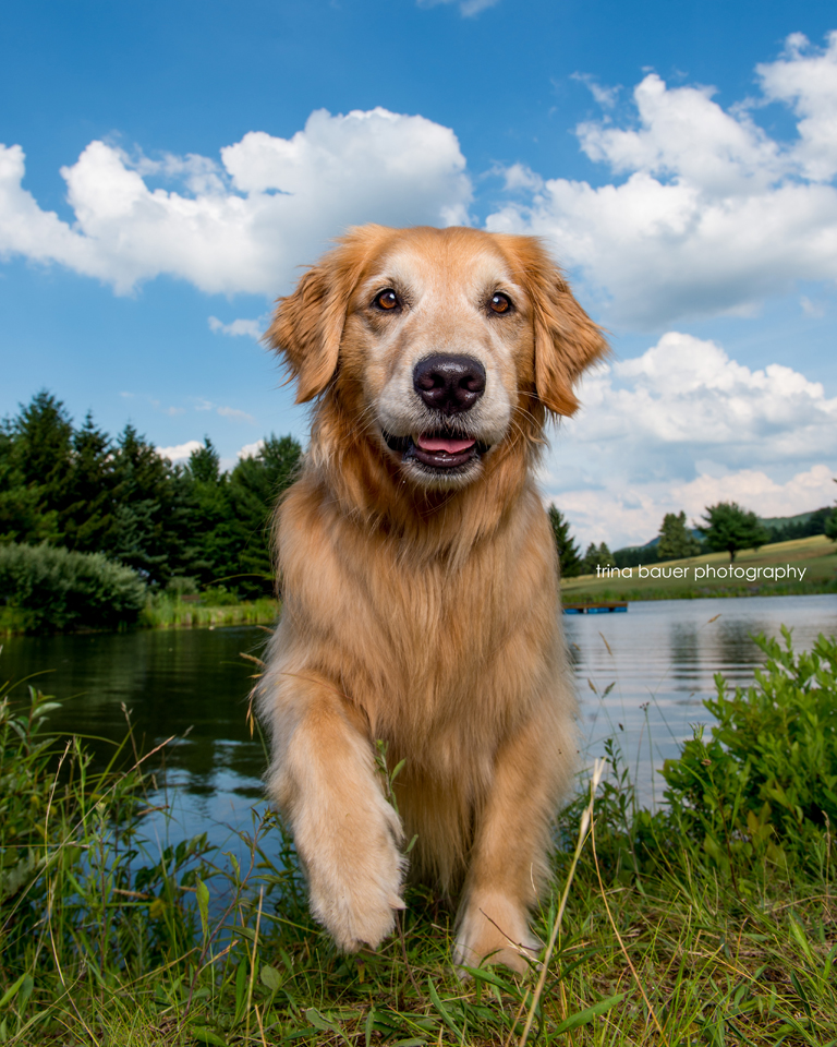 Summer 2017 bucket list