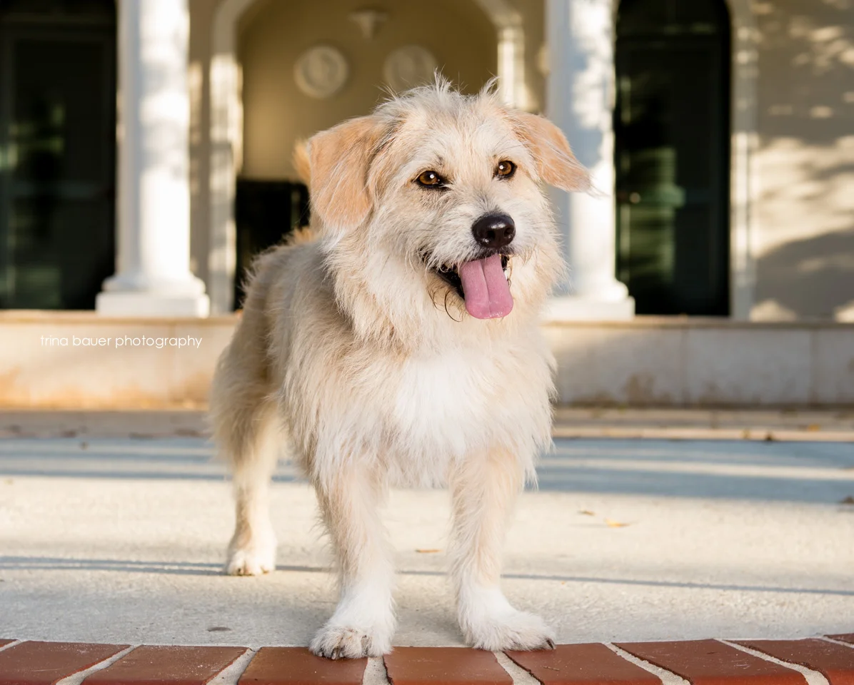 2017 Goals and check in