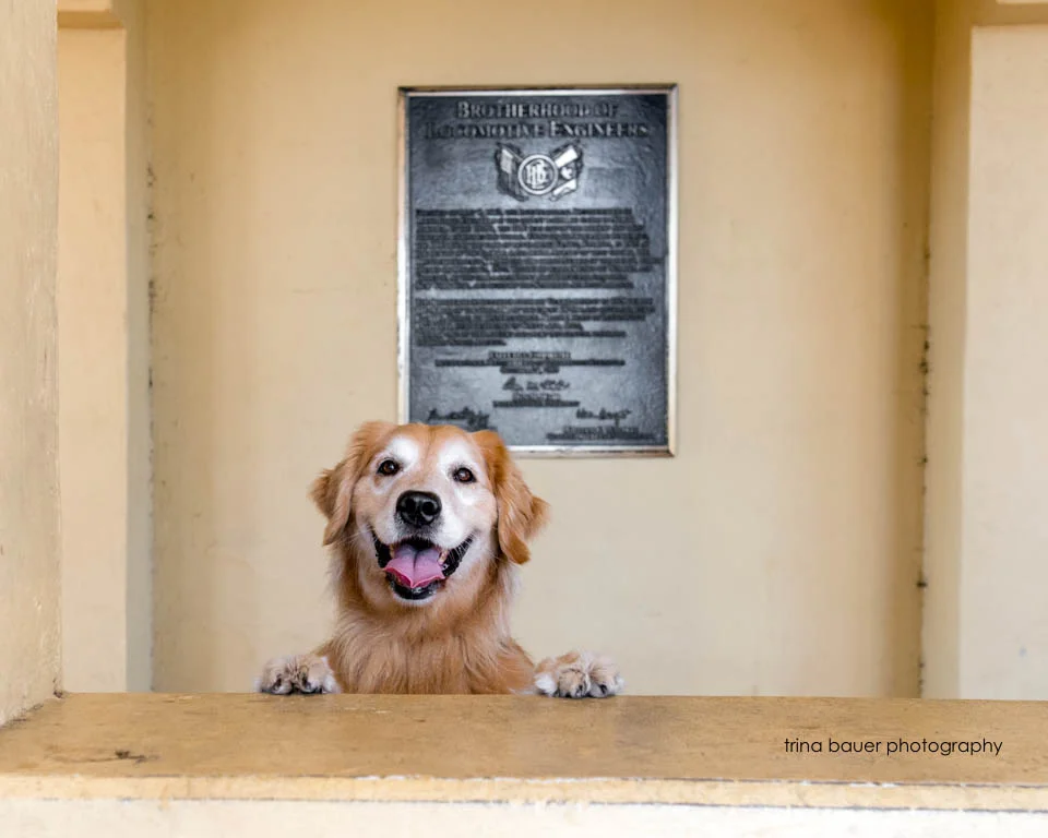 On the bookshelf - What I'm reading now