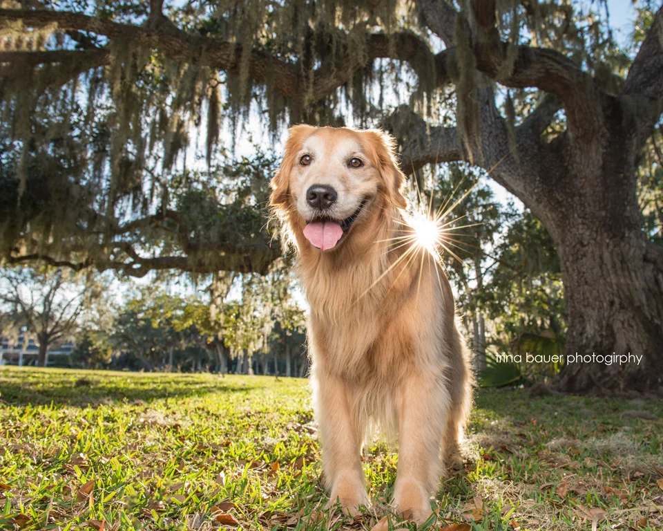 What I learned during my visit to Florida