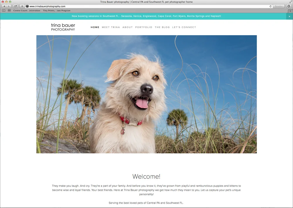 New and updated website!