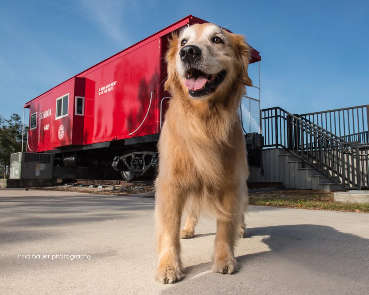 Location scouting - Venice FL