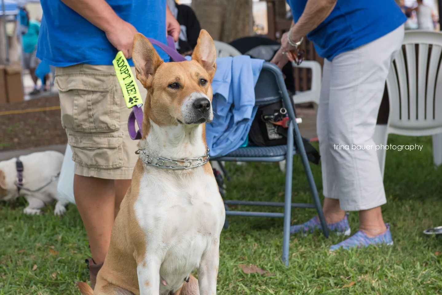 Florida Recap - Week 1