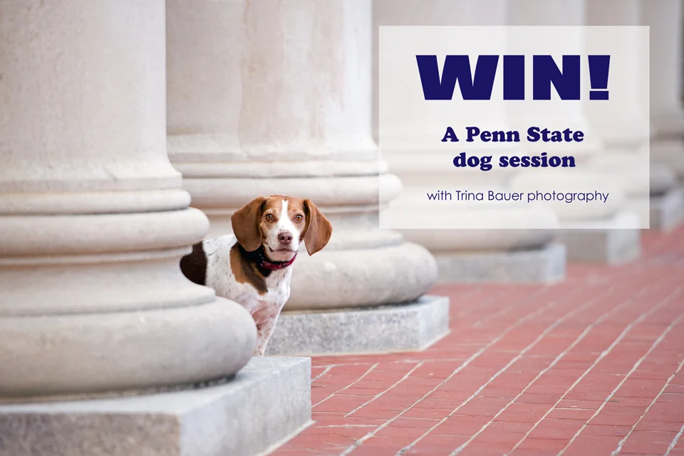 GIVEAWAY - Win a Penn State Dog Session!!!
