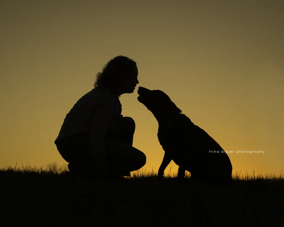 Sporty Dog Daycare display