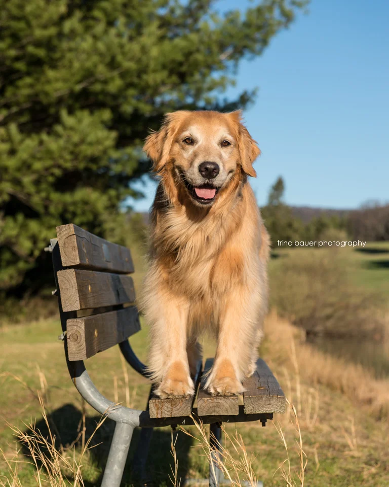 Summer time bucket list