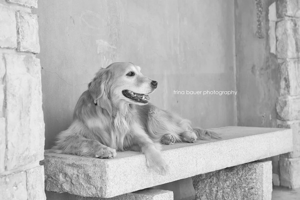 Projct 52: Week 16 - Black and White