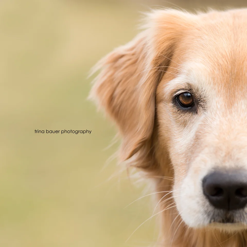 Project 52: Week 10 - Isolation: Use a Longer Lens