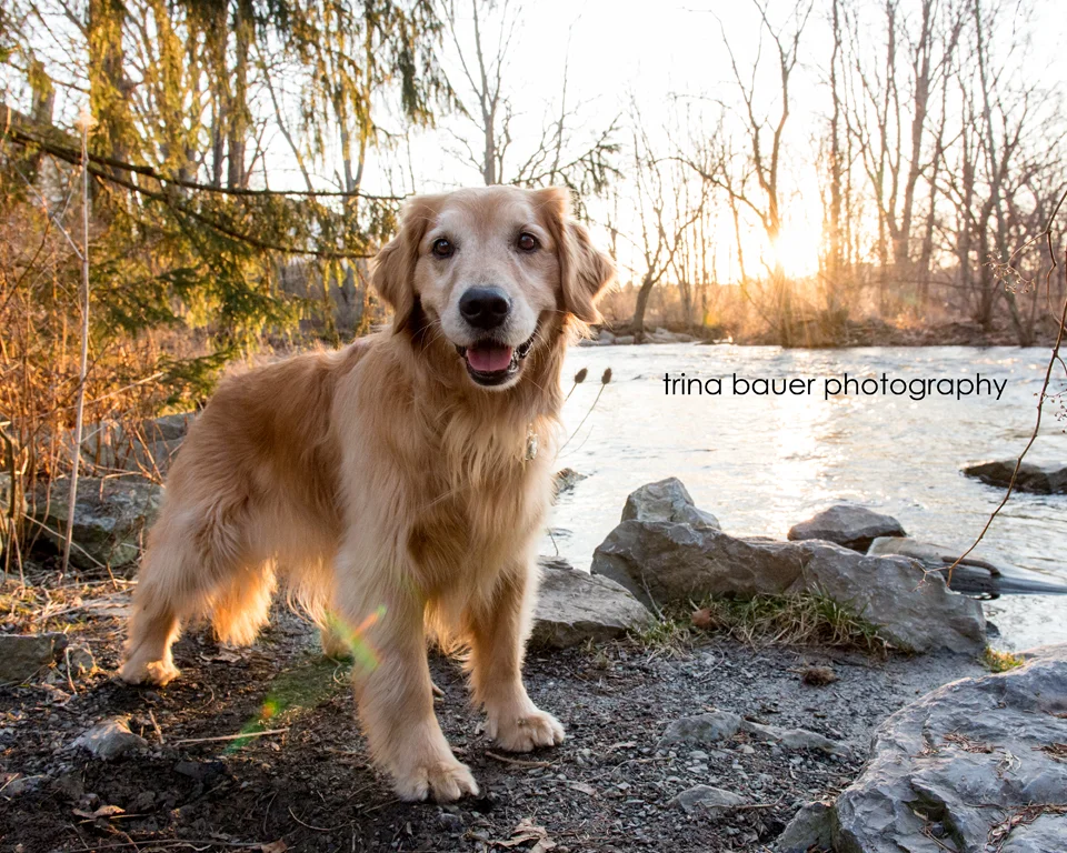 Project 52: Week 9 - Learn to Isolate