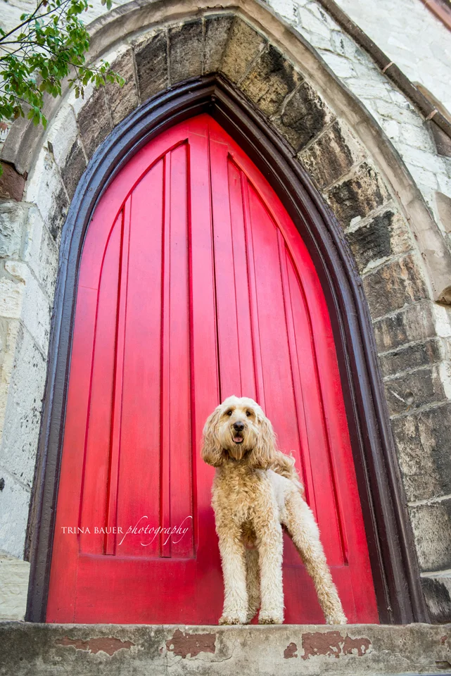 Project 52: Week 3 - Ask Better Questions