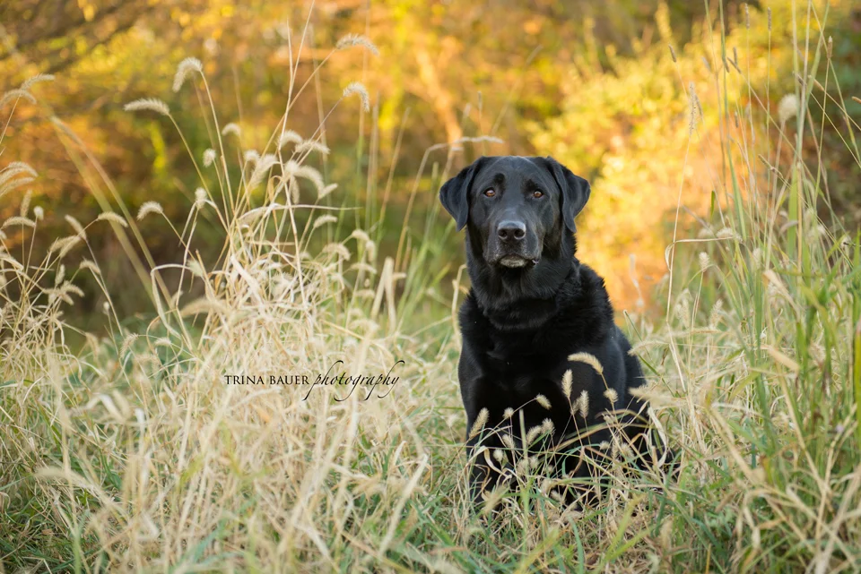 Project 52: Week 2 - Consider Your Vision