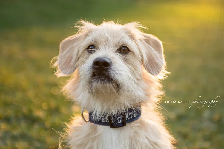 Project 52: Week 1 - New