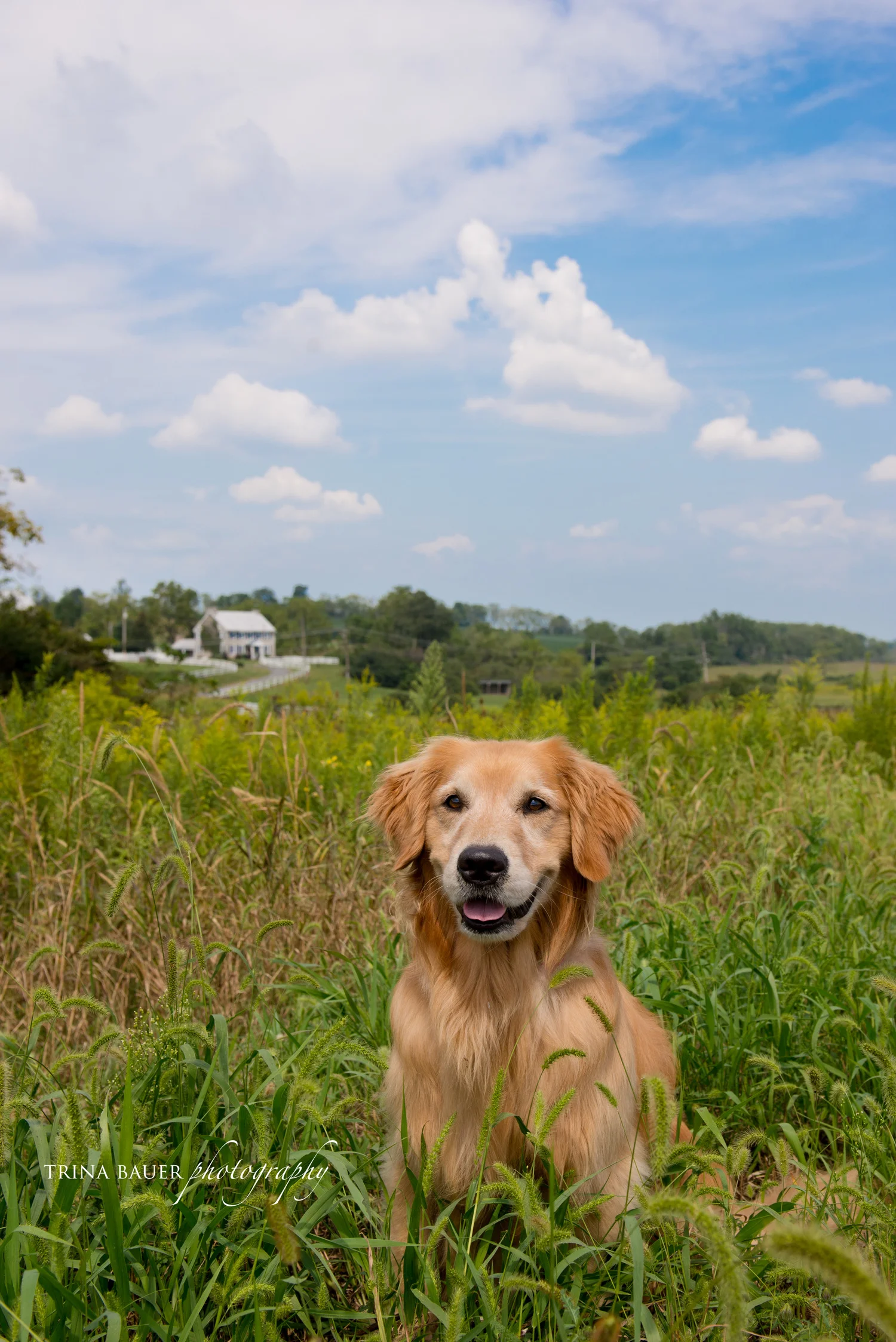 Project 52: Week 36  - Sky