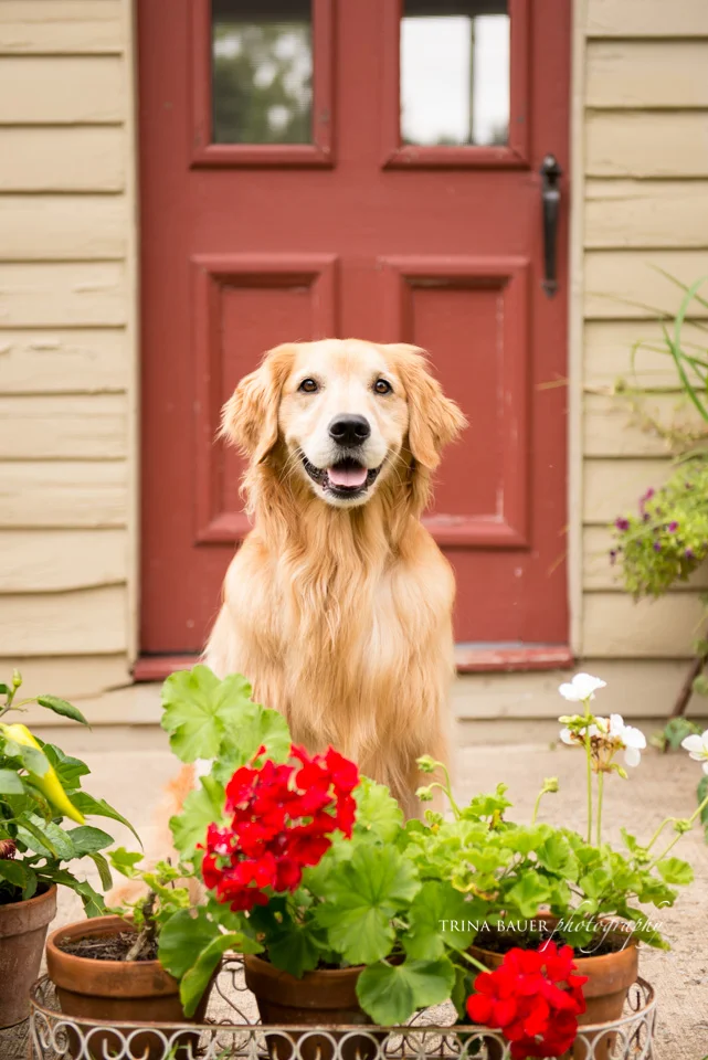 Project 52: Week 35 - Red