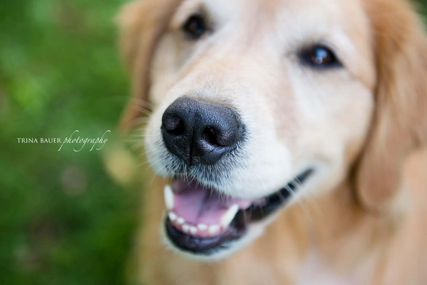 Project 52: Week 31 - Favorite Part